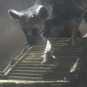 10 E3 2015 Predictions